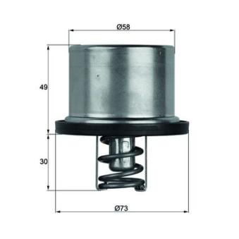 Thermostat d'eau MAHLE TX 37 79