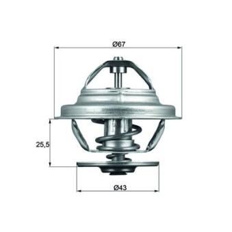 Thermostat d'eau MAHLE [TX 56 71]