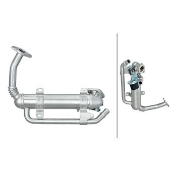 Radiateur, réaspiration des gaz d'échappement HELLA OEM 03G131512AD