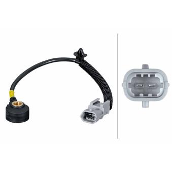 Capteur de cognement HELLA [6PG 013 114-721]