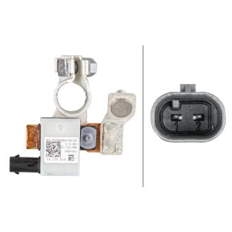 Capteur, Gestion des batteries HELLA OEM 13599063