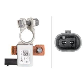 Capteur, Gestion des batteries HELLA OEM 13599063