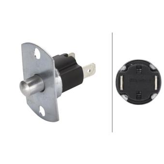 Interrupteur, contacteur de porte HELLA OEM 304325