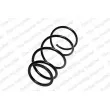 LESJOFORS 4092576 - Ressort de suspension