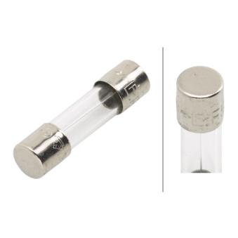 Fusible HELLA OEM 751ASG05