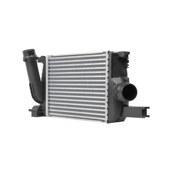 Intercooler, échangeur HELLA 8ML 366 340-671 pour RENAULT CLIO 1.5 dCi 110 - 110cv