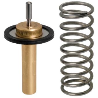 Thermostat d'eau HELLA OEM 31293556