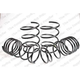 Jeu de suspensions, ressorts LESJOFORS 4555411