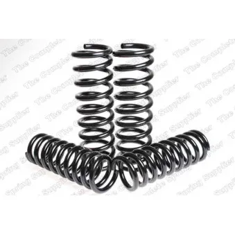 Jeu de suspensions, ressorts LESJOFORS 4556820