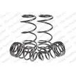 LESJOFORS 4577803 - Jeu de suspensions, ressorts