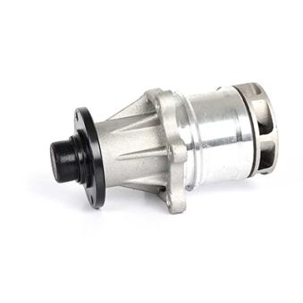 Pompe à eau BSG BSG 15-500-005