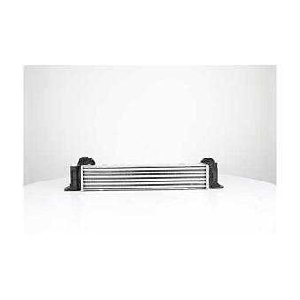 Intercooler, échangeur BSG BSG 15-535-012
