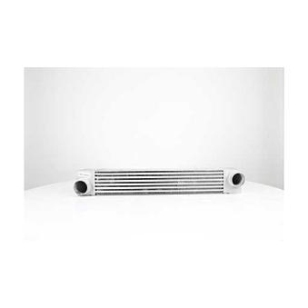 Intercooler, échangeur BSG BSG 15-535-017