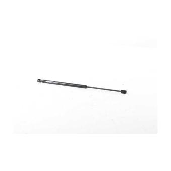 Vérin de hayon, de coffre BSG BSG 15-980-043