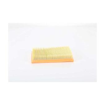 Filtre à air BSG OEM 46468012