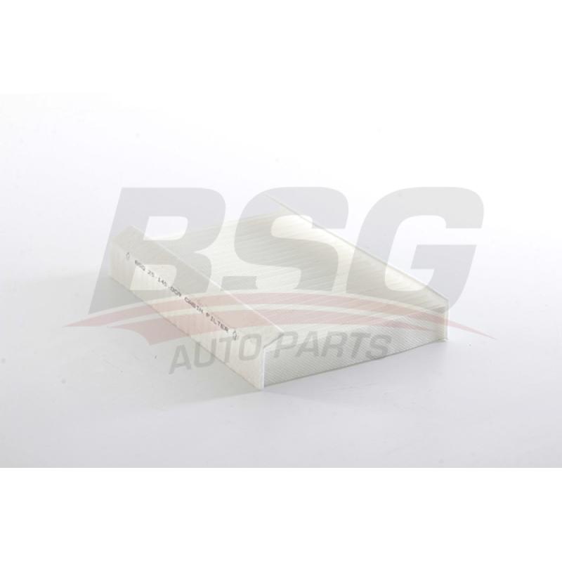 Filtre, air de l'habitacle BSG BSG 25-145-009 - Visuel 1