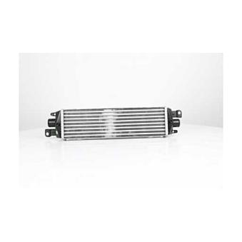 Intercooler, échangeur BSG [BSG 25-535-001]