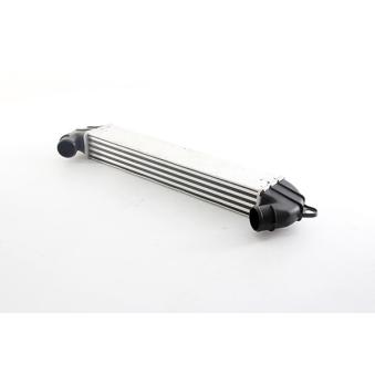 Intercooler, échangeur BSG OEM 51718953