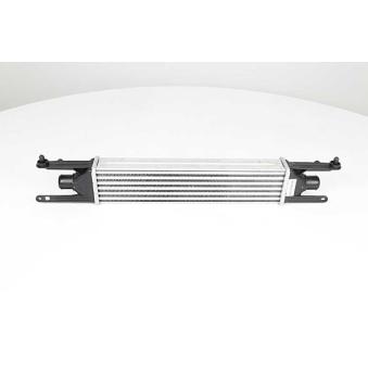 Intercooler, échangeur BSG OEM 55700449