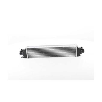 Intercooler, échangeur BSG BSG 25-535-005