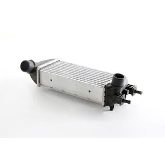 Intercooler, échangeur BSG OEM 1560794