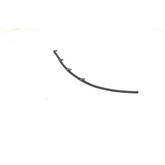 Tuyau, carburant de fuite BSG BSG 25-725-012