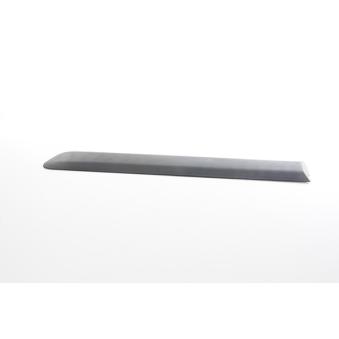 Baguette et bande protectrice, porte arrière gauche BSG [BSG 25-924-001]