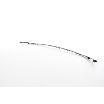 Baguette et bande protectrice, grille de radiateur BSG [BSG 25-927-003]