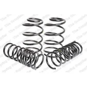 Jeu de suspensions, ressorts LESJOFORS 4595832