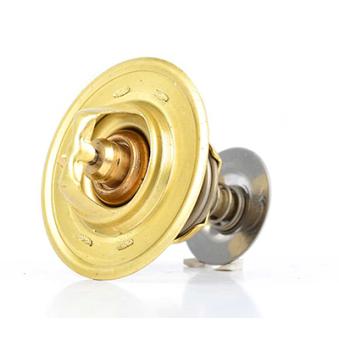 Thermostat d'eau BSG OEM 844F8575AA