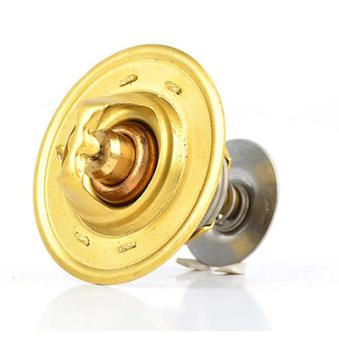 Thermostat d'eau BSG OEM 844F8575AA