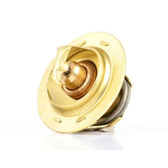 Thermostat d'eau BSG BSG 30-125-010