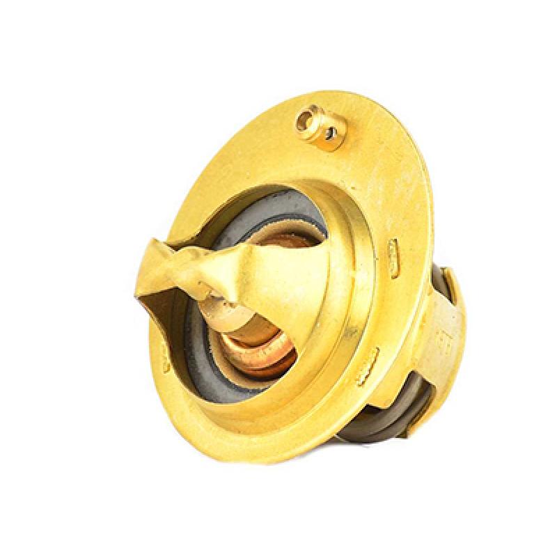 Thermostat d'eau BSG BSG 30-125-020 - Visuel 1