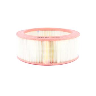 Filtre à air BSG OEM 25062032