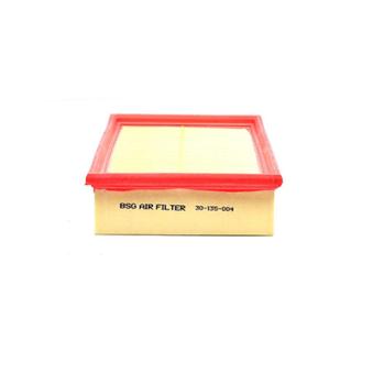 Filtre à air BSG OEM YC159601BB