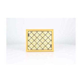 Filtre à air BSG OEM DS739601AC