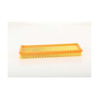 Filtre à air BSG OEM 1665410