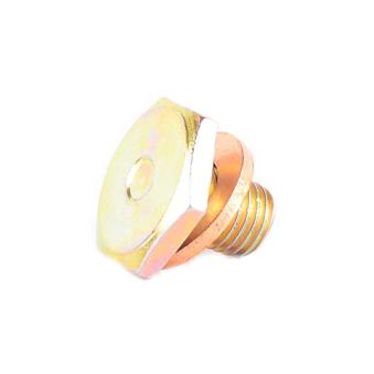 Vis-bouchon, carter d'huile BSG BSG 30-230-047