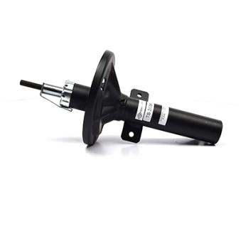 Jeu de 2 Amortisseurs avant BSG OEM 5027606