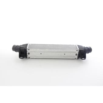 Intercooler, échangeur BSG OEM 1222890