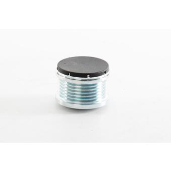 Poulie roue libre, alternateur BSG OEM 1707065