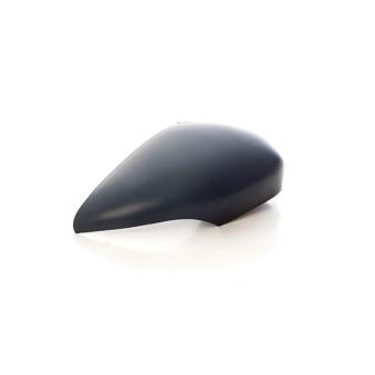 Revêtement, rétroviseur extérieur BSG BSG 30-915-029