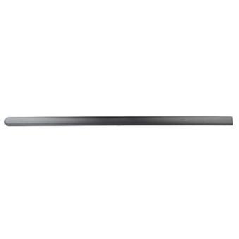 Baguette et bande protectrice, porte avant droit BSG BSG 30-924-031