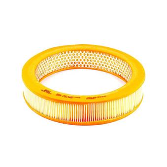 Filtre à air BSG OEM 17220671005