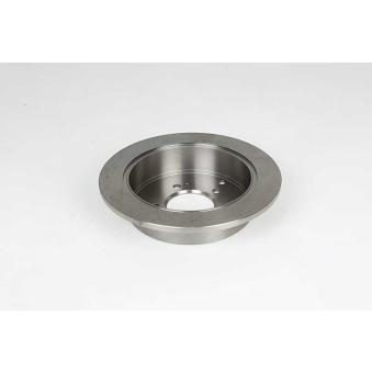 Jeu de 2 disques de frein arrière BSG OEM 584113A300