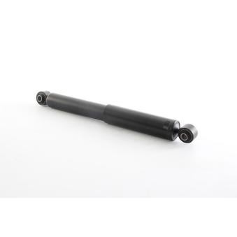 Jeu de 2 amortisseurs arrière BSG OEM 93195061