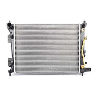 Radiateur, refroidissement du moteur BSG OEM 253104L050
