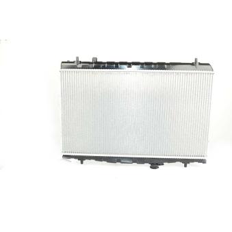 Radiateur, refroidissement du moteur BSG OEM 253102D100
