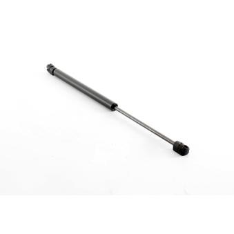 Vérin de hayon, de coffre BSG OEM 817702B001