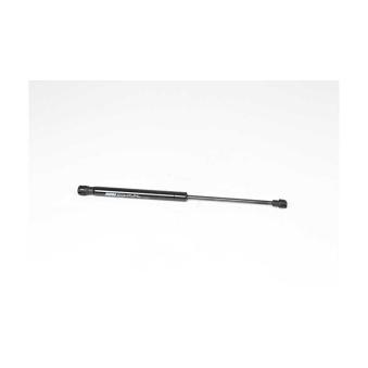 Vérin de hayon, de coffre BSG BSG 40-980-059